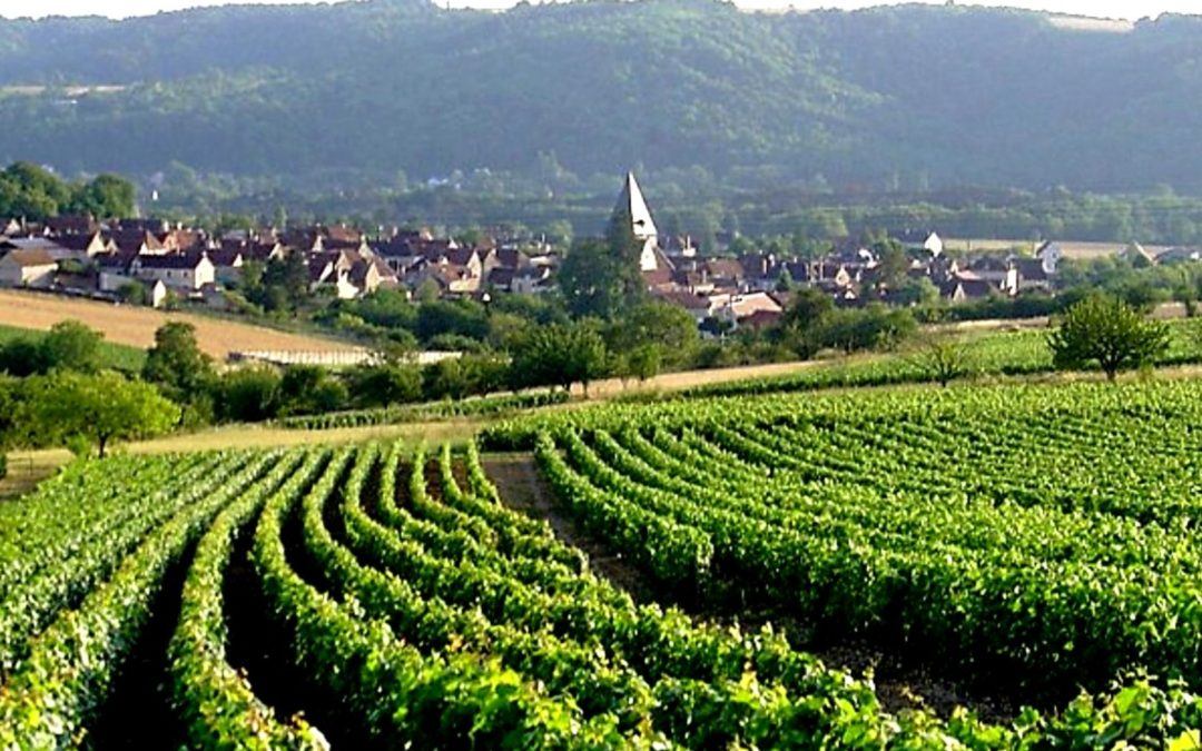 Sortie « Chablisien-Tonnerrois 2021 » – septembre 2021