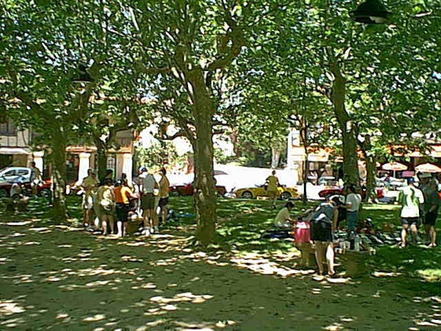 picnic fources5