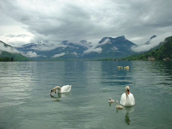 alpes2036