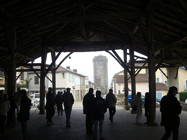 CIMG0849rz