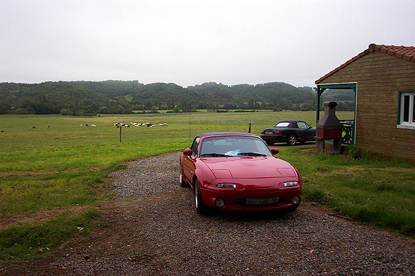DCP 2941rz