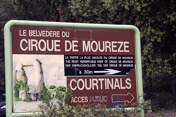 DSC 0664rz