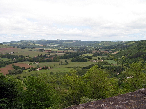 IMG 0138rz
