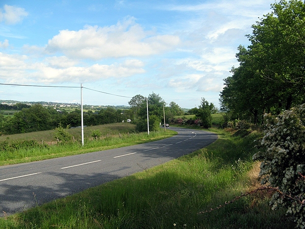 IMG 0145rz