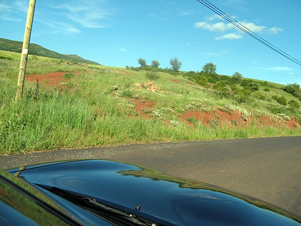 IMG 0162rz