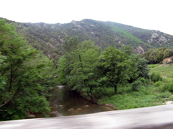 IMG 0178rz
