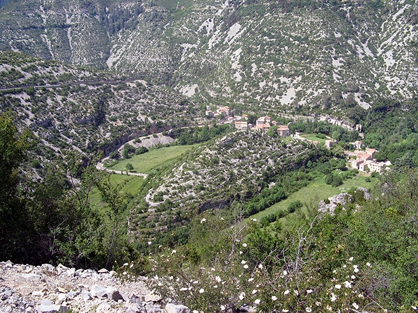 IMG 0191rz
