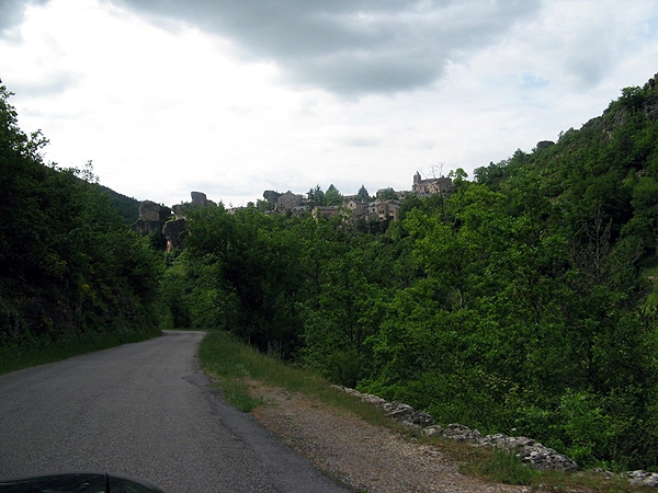 IMG 0201rz