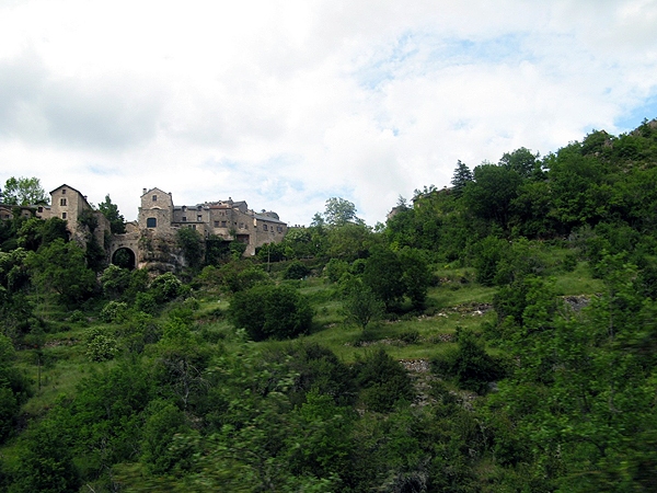 IMG 0203rz