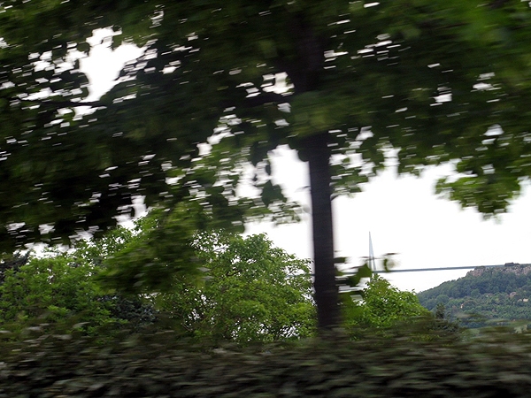 IMG 0204rz