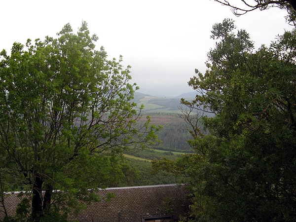 IMG 0221rz