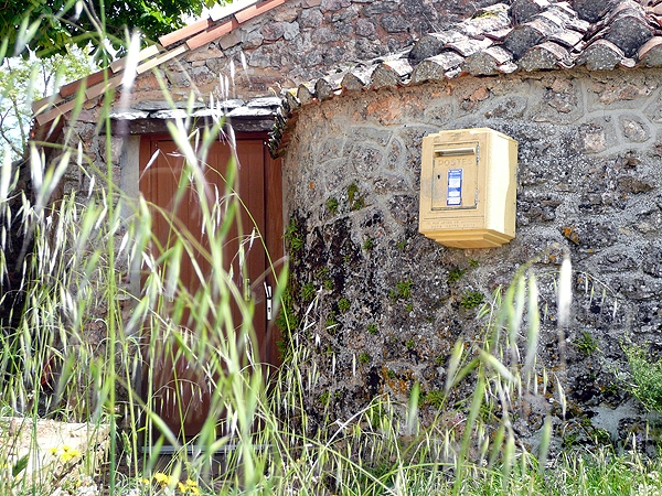 P1000896rz