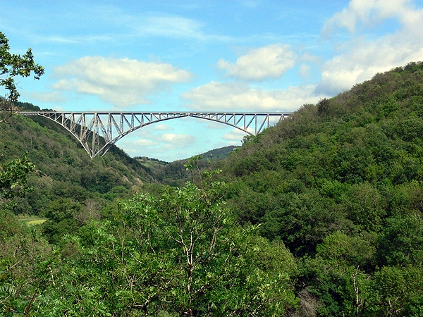 P1010621rz