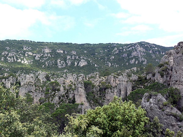 P1010656rz