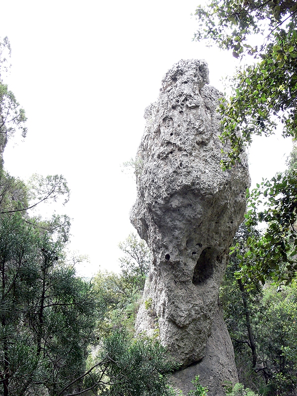 P1010666rz