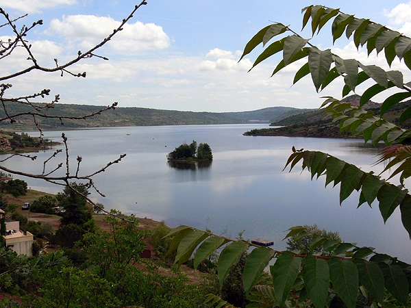 P1010669rz