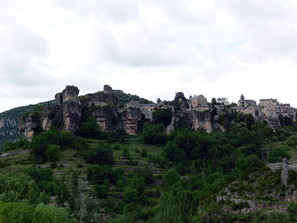 P1010676rz