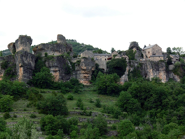 P1010677rz
