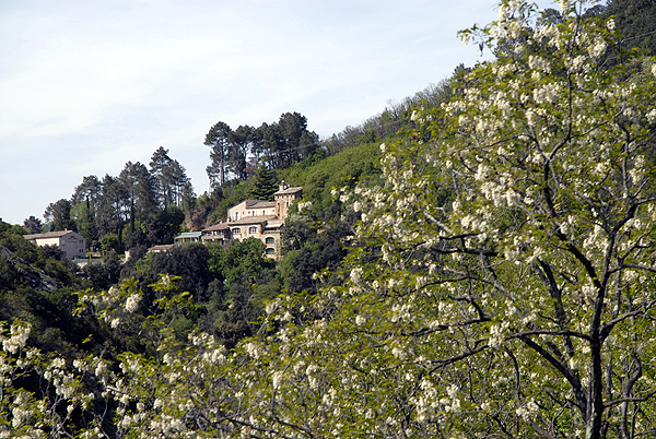  DSC0647