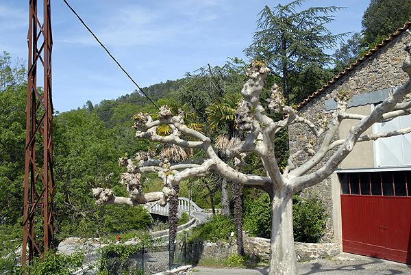  DSC0650