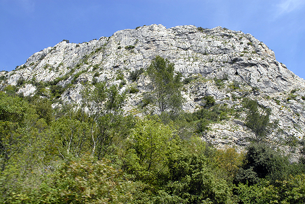  DSC0651