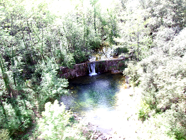 DSCF3760