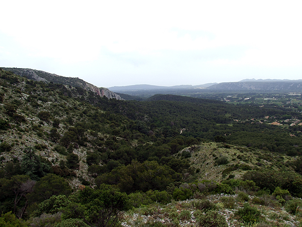 DSCF0981