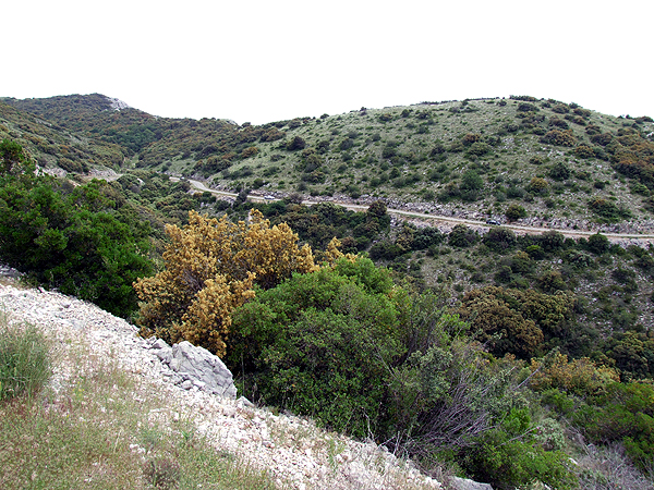 DSCF0988