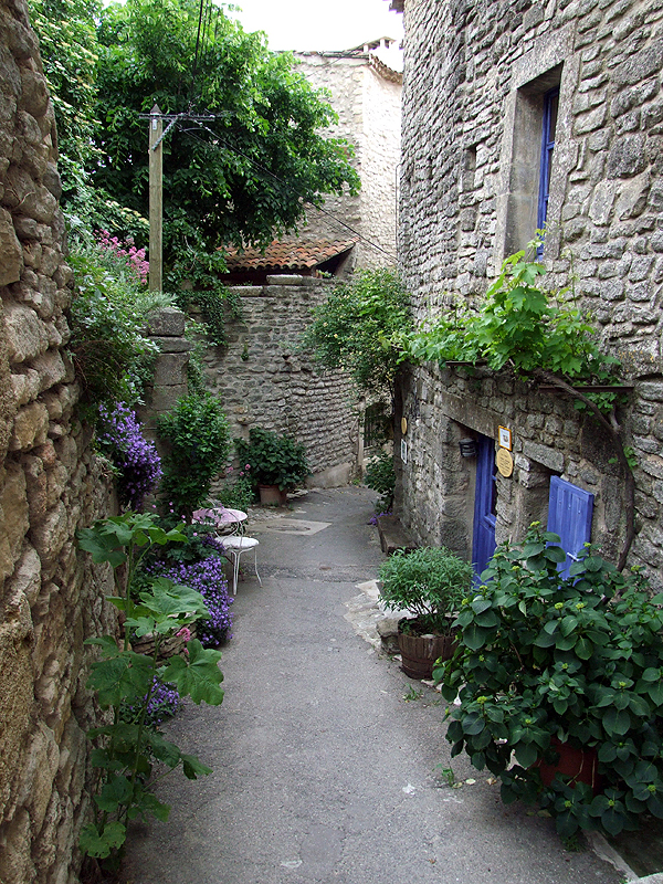 DSCF1009