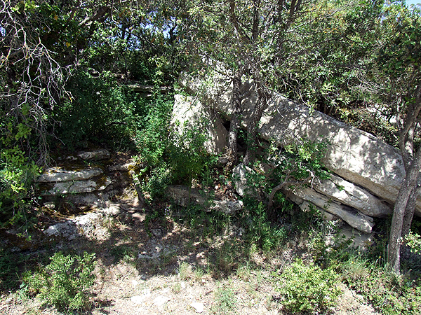 DSCF1432