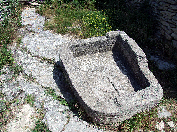 DSCF1437