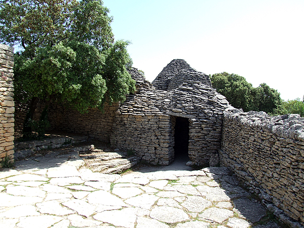 DSCF1448