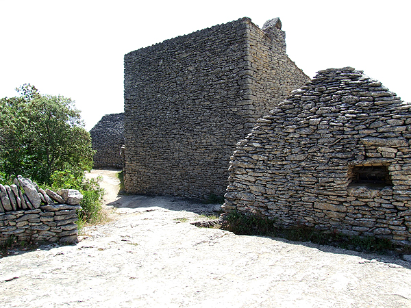 DSCF1454