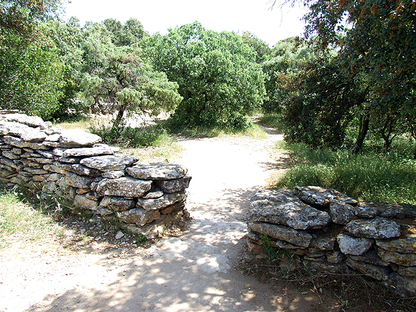 DSCF1457
