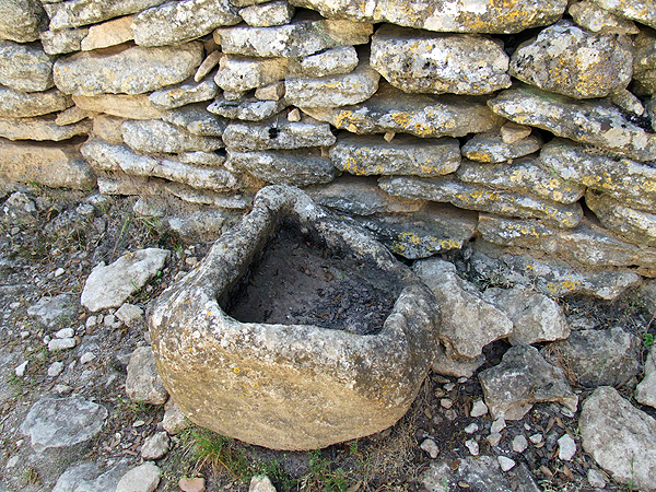 DSCF1459
