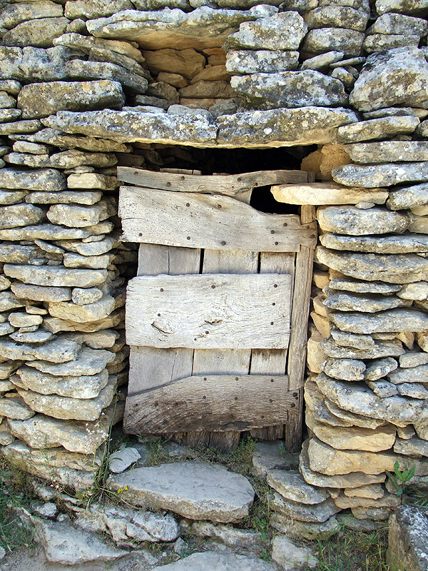 DSCF1463