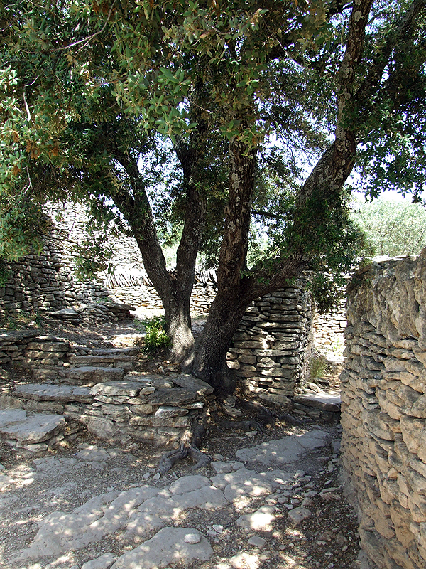 DSCF1467