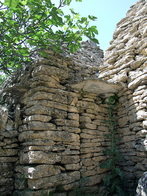 DSCF1475