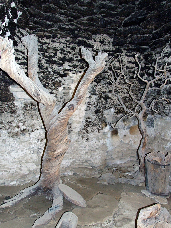 DSCF1477