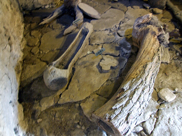 DSCF1478