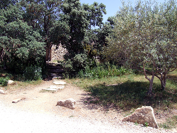 DSCF1487