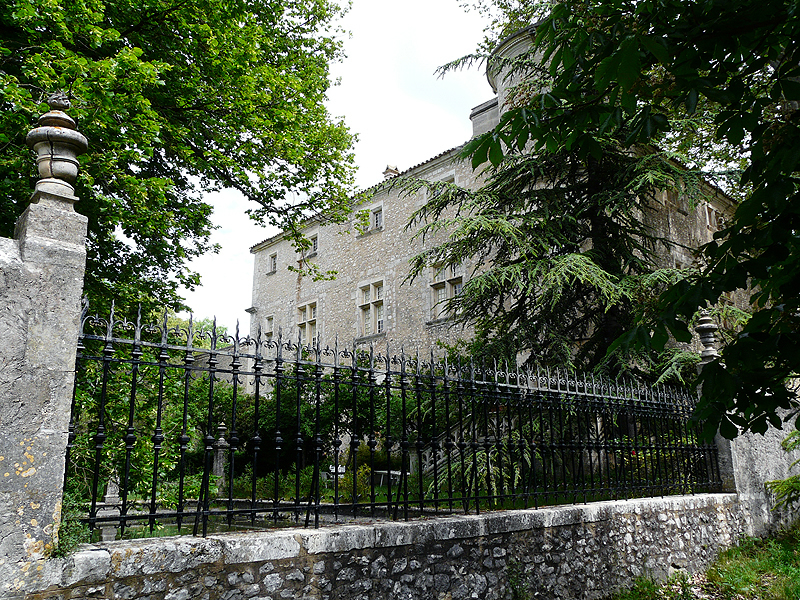 P1010946