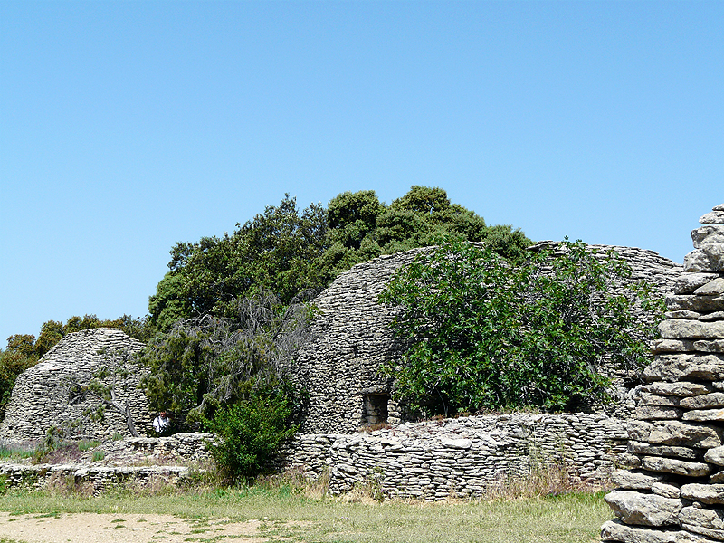 P1010969