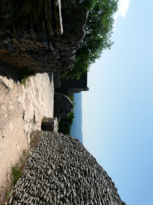 P1010973