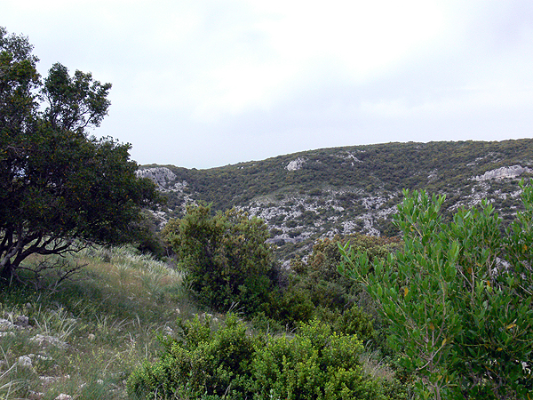 P1040109