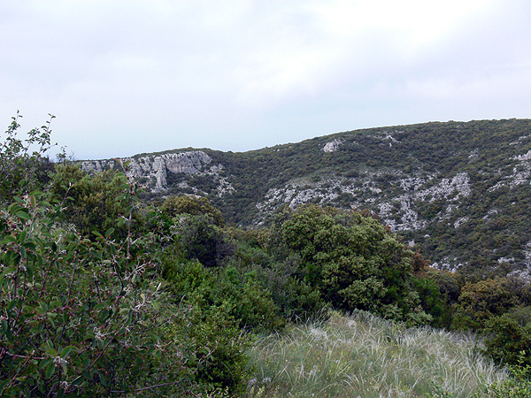 P1040110