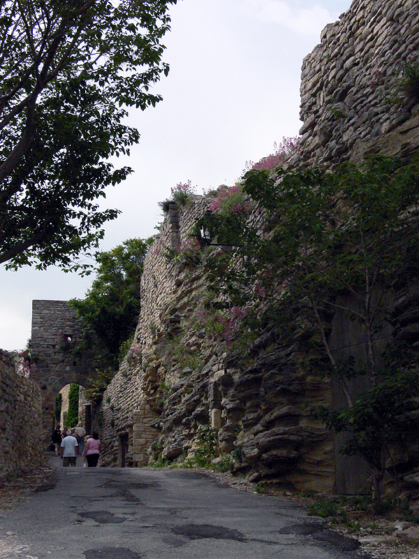 P1040116