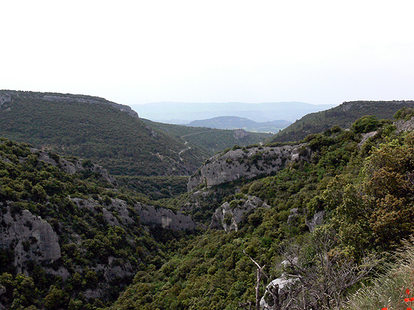 P1040132