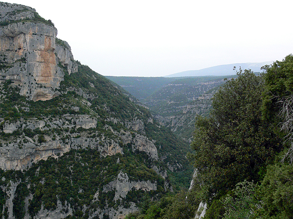 P1040163