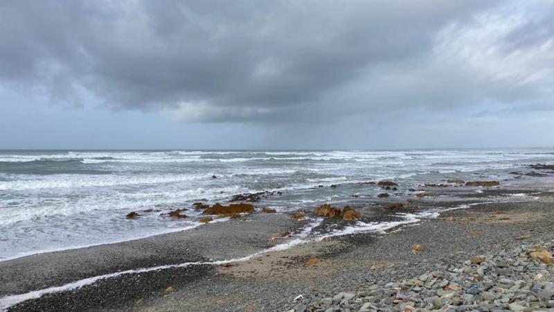 IMG-20220312-WA0003